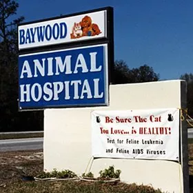 Baywood Animal Hospital, Florida, Jacksonville